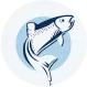 УрбанФиш